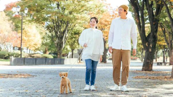 【ペット共生と環境 #3】日本の飼育率状況　犬飼育率は減少？