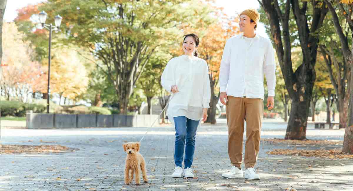 犬飼育率は減少傾向