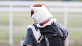 ペットと防災【後半】：ペット同伴避難（台湾東部沖地震での場合）