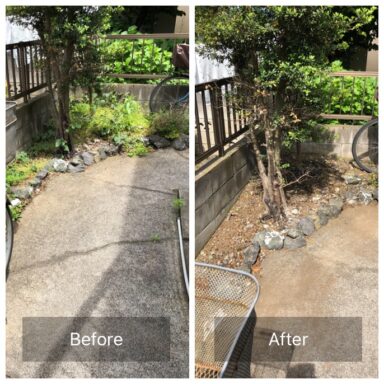 除草剤の散布