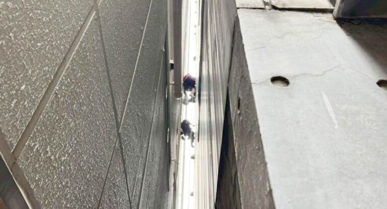 可能な範囲で建物の劣化状態を確認